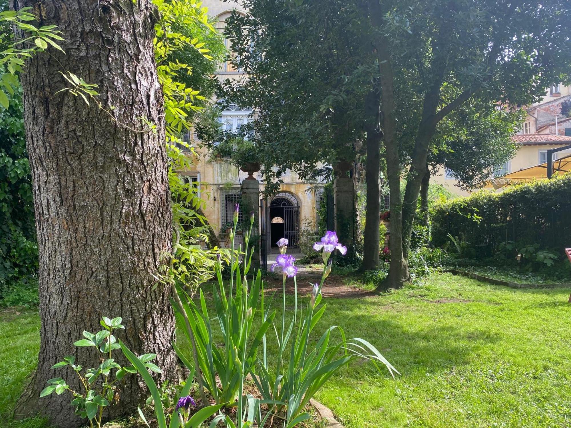 Corte Meraviglia - Relais Lucca Ngoại thất bức ảnh